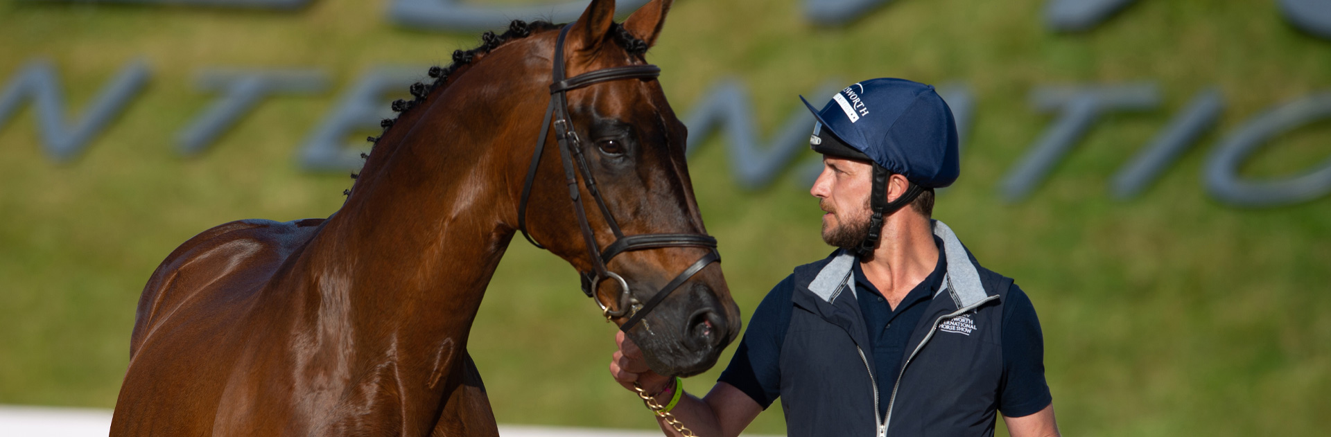 Bolesworth Elite Ramiro B Auction