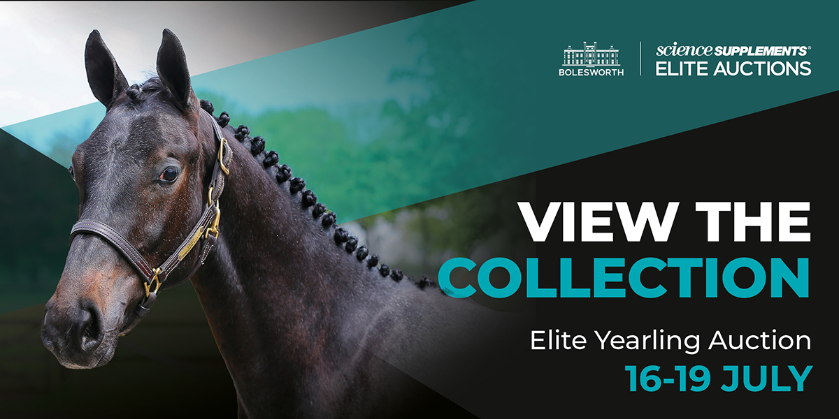 Bidding Opens for The Science Supplements Bolesworth Elite Yearling Online Auction