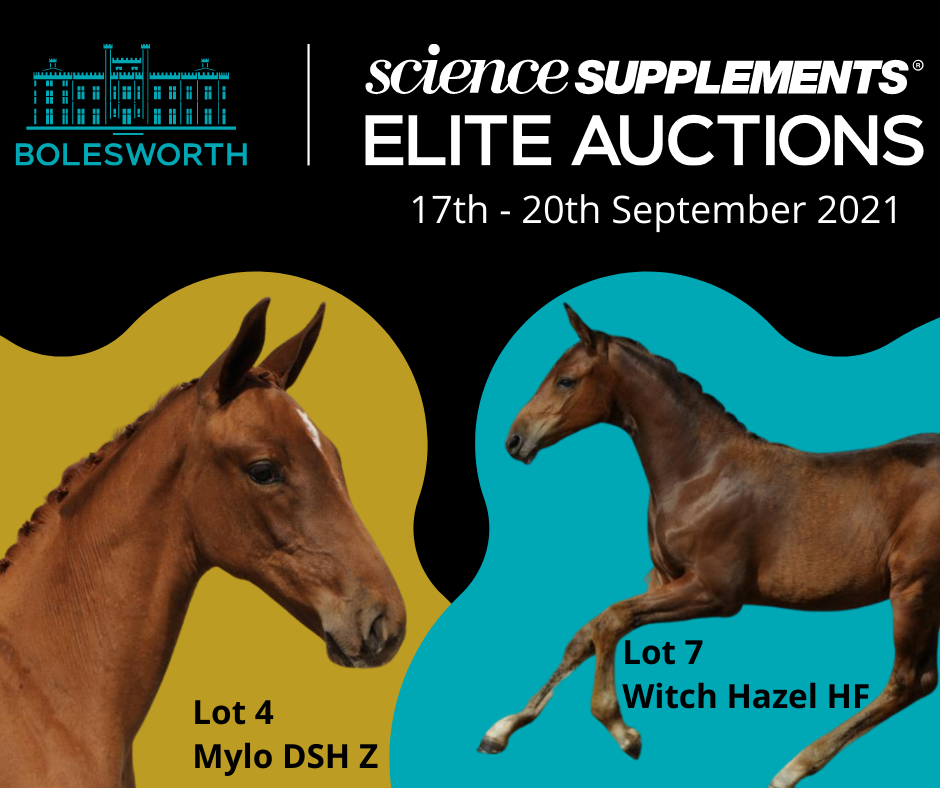 An All-Inclusive Bolesworth Science Supplements Elite Foal and Embryo Auction